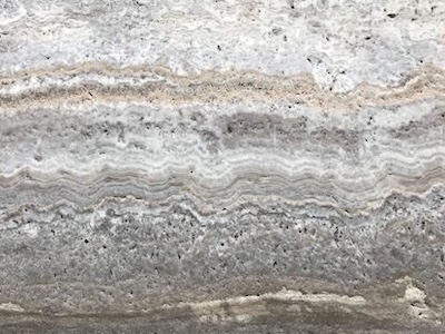 brushed silver trav thumb