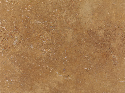 nochecrosshoned thumb