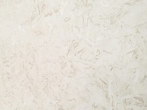 shellbeachlimestone thumb