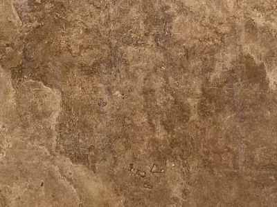 Cross Cut Noce Travertine