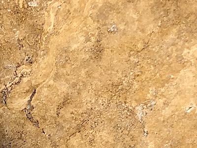 goldenyellowtravertine brushed copy